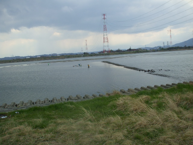 木曽川 名港 釣り日記 うなぎ釣り