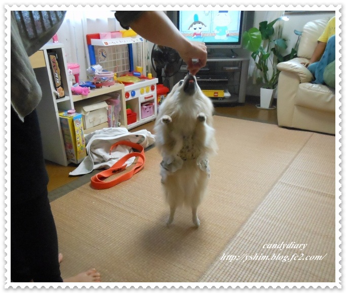 DSCN6571 (640x535)-001