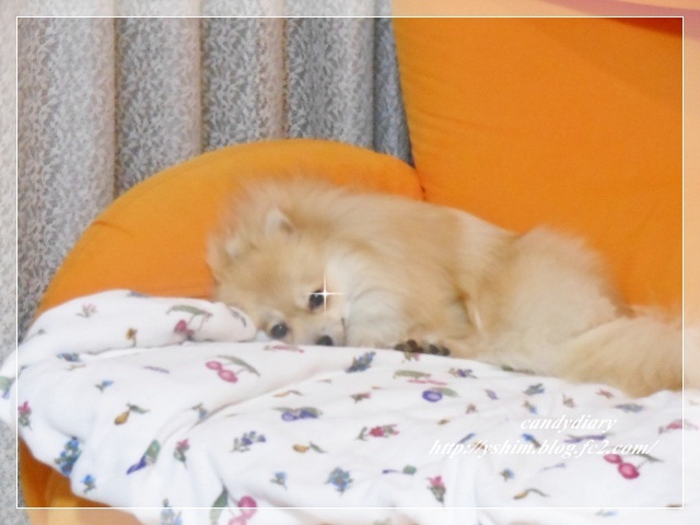 DSCN8162 (640x480)-004