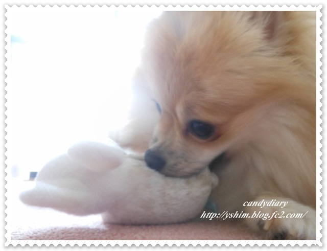 DSCN9412 (640x480)-004