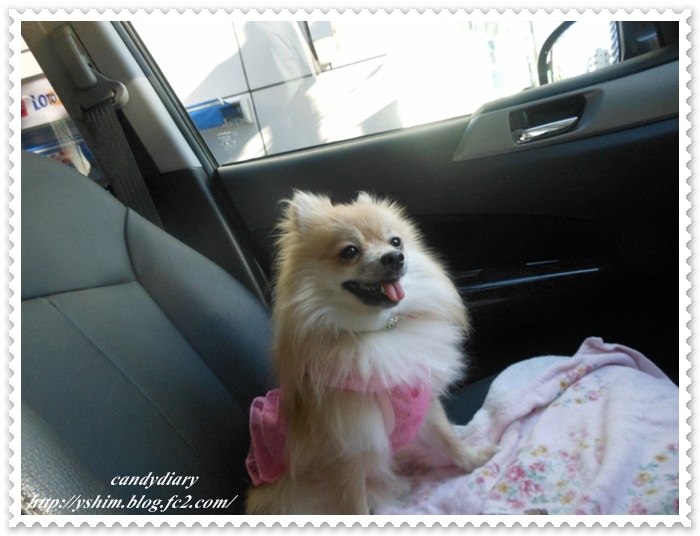 DSCN9703 (700x525)-003