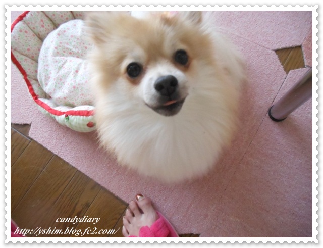 DSCN1132 (640x480)-005