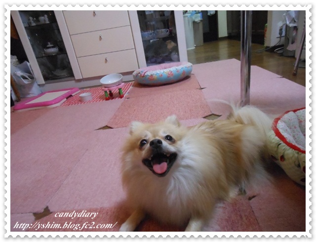 DSCN1211 (640x480)-006