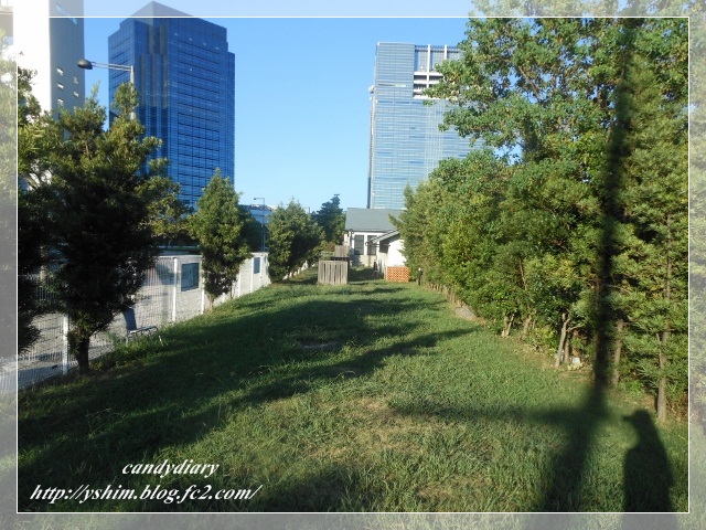 DSCN1992 (640x480)-002