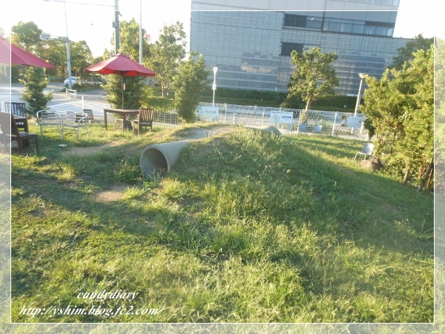 DSCN2108 (640x480)-015