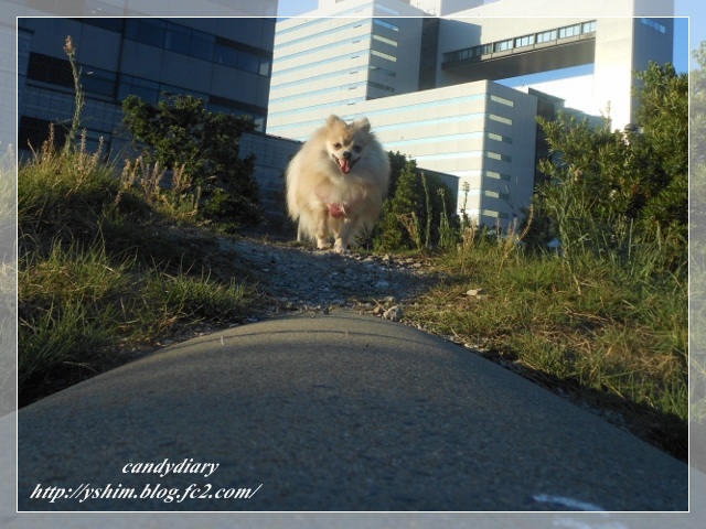 DSCN2123 (640x480)-017