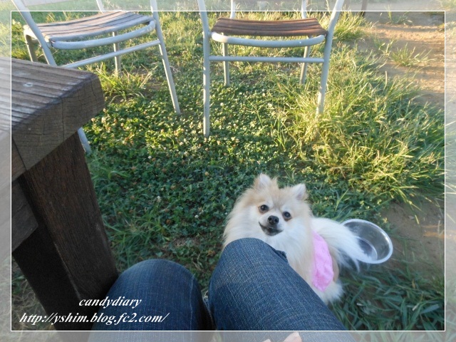 DSCN2164 (640x480)-033