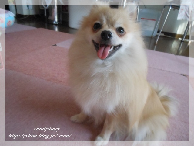 DSCN2265 (640x480)-006