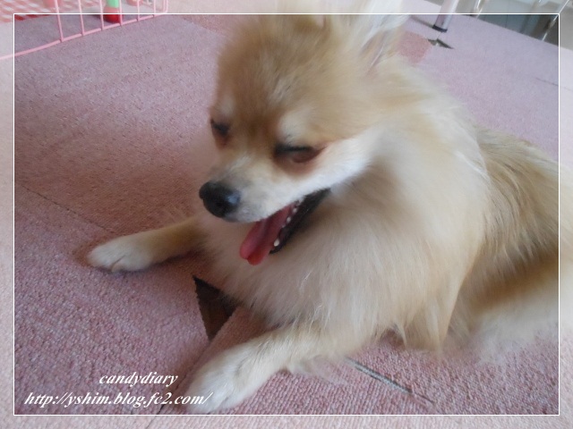 DSCN2260 (640x480)-007