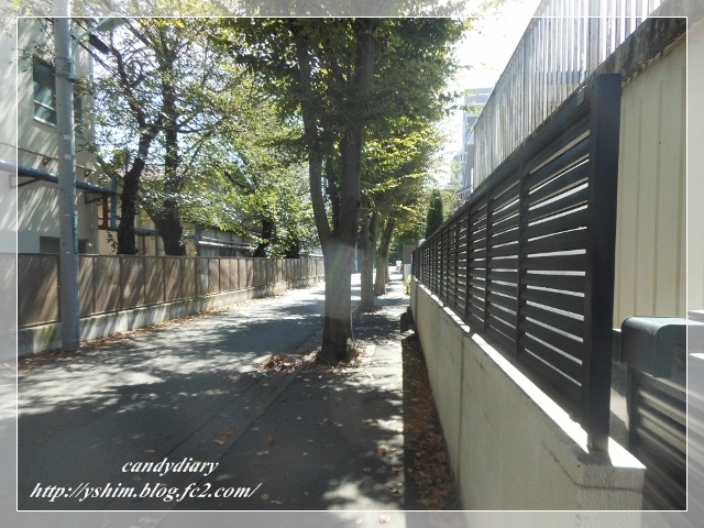 DSCN2639 (640x480)-003
