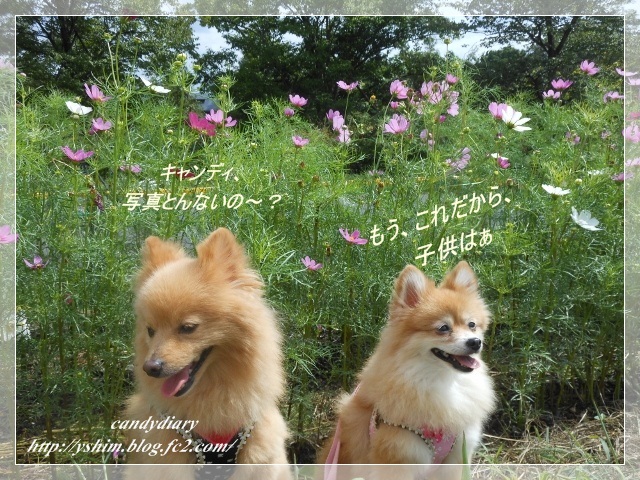 DSCN2846 (640x480)-006