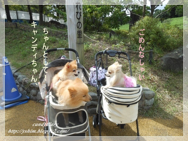 DSCN2834 (640x480)-002