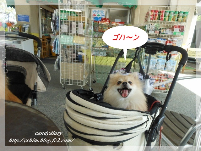 DSCN2903 (640x480)-016