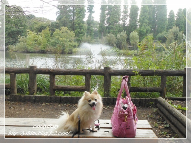 DSCN3203 (640x480)-006