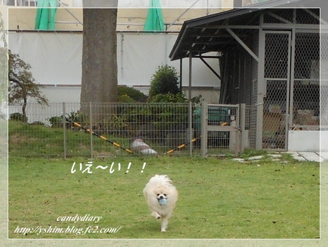 DSCN3283 (640x482)-014