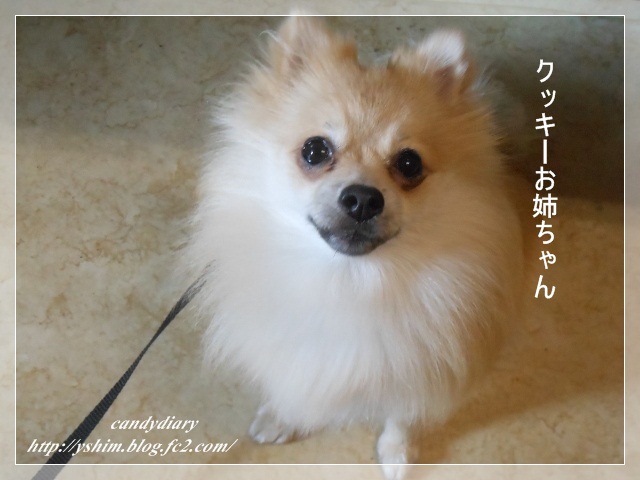 DSCN3355 (640x480)-004