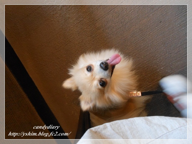 DSCN3424 (640x480)-016