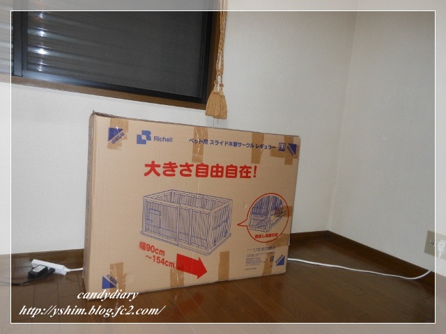 DSCN3492 (640x480) (2)-007