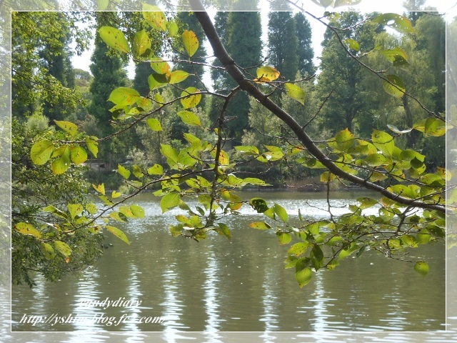 DSCN3618 (640x480)-001