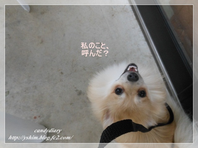 DSCN3297 (640x480)-006