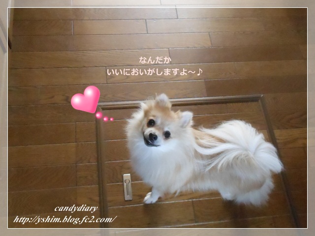 DSCN3755 (640x480)-001