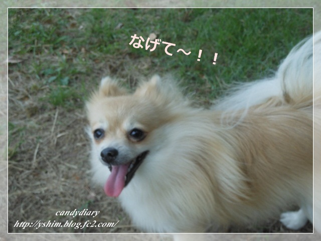 DSCN3817 (640x480)-010