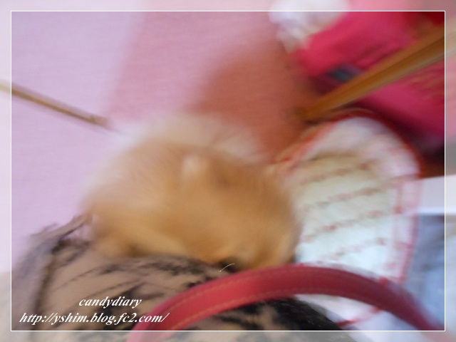 DSCN3860 (640x480)-004