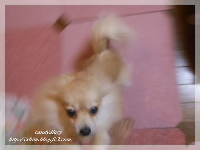DSCN3859 (640x480)-003