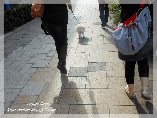 DSCN4012 (640x480)-001