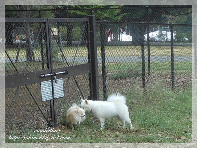 DSCN4277 (640x480)-024