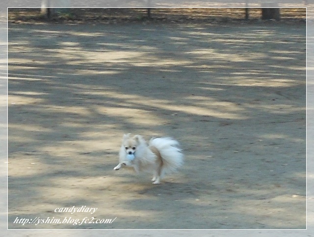 DSCN4430 (640x484)-014