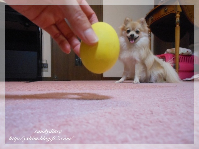 DSCN4479 (640x480)-008