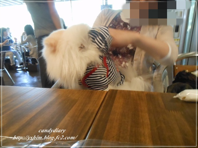 DSCN5697 (640x480)-004