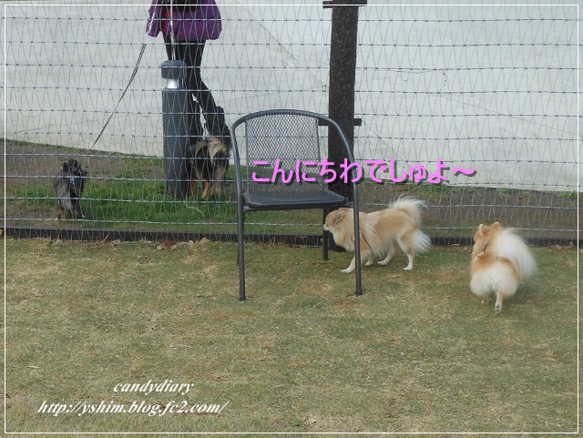 DSCN6102 (640x481)-001