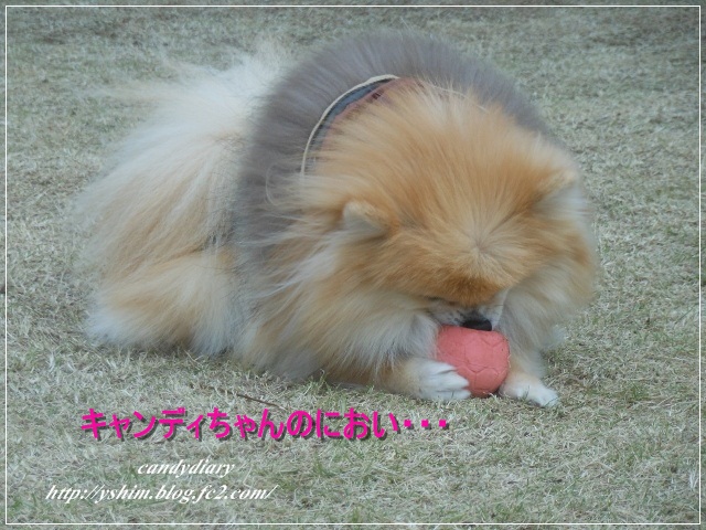 DSCN6047 (640x480)-004