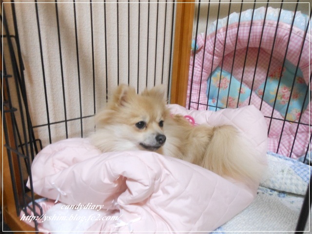 DSCN6320 (640x480)-007