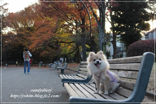 IMG_0037 (640x427)-021