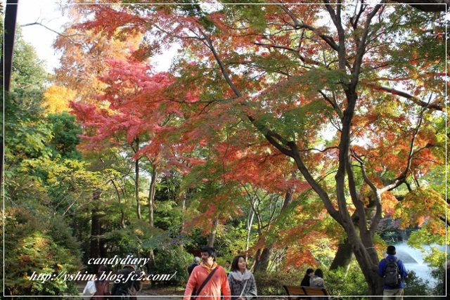 IMG_0063 (640x427)-012