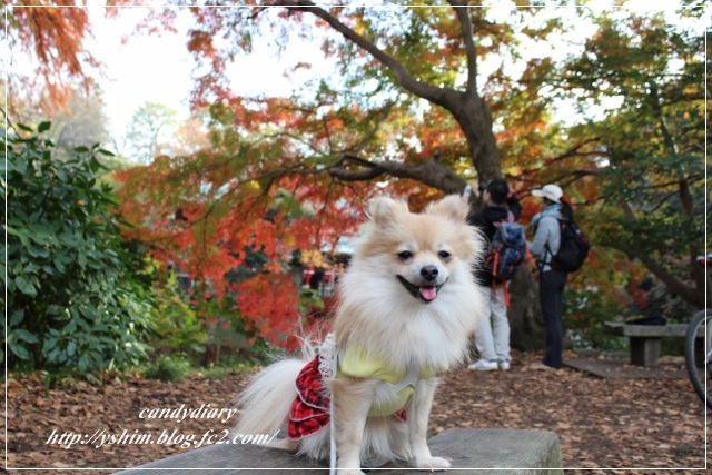 IMG_0066 (640x427)-015