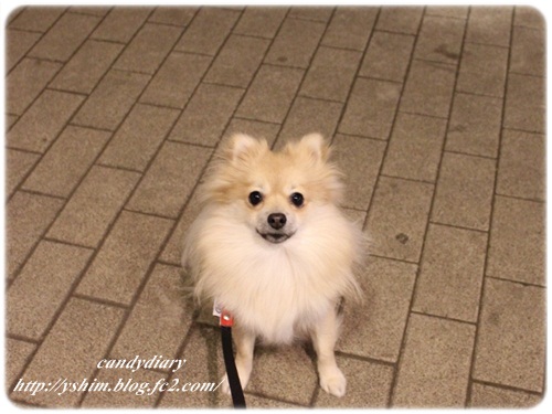IMG_6730 (640x480)-009