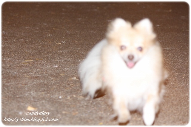 IMG_6949 (640x427)-010