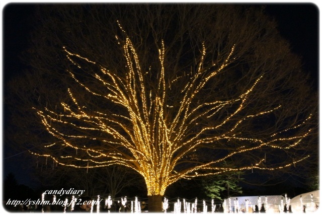 IMG_6999 (640x427)-021