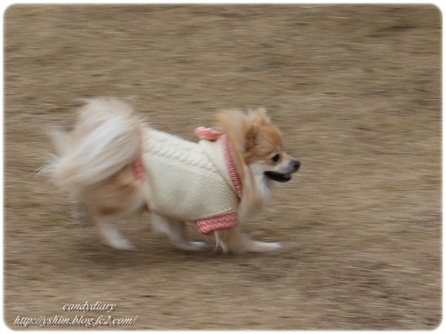 IMG_7145 (640x479)-007