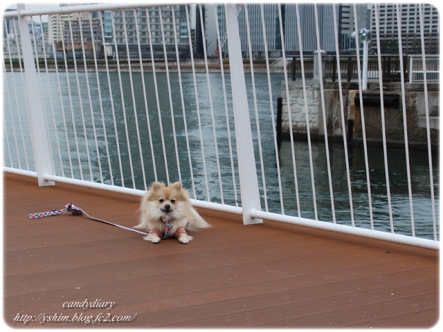 IMG_7163 (640x480)-018