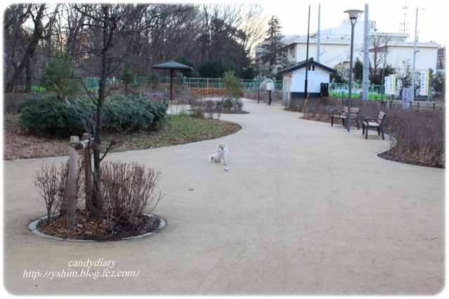 IMG_7527 (640x427)-014
