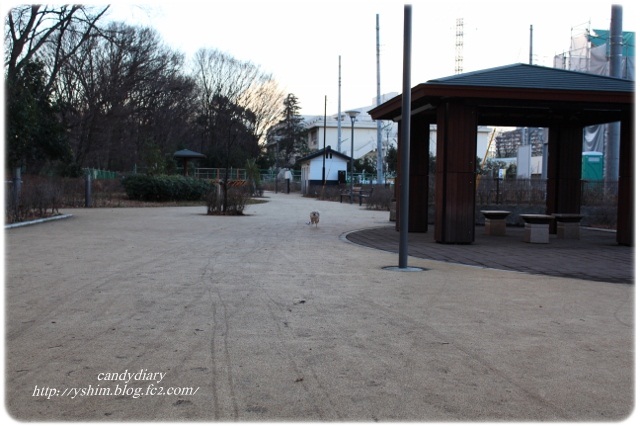 IMG_7530 (640x427)-016
