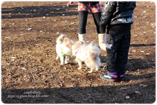 IMG_7635 (640x427)-001