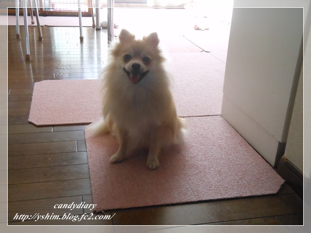 DSCN3772-003.jpg