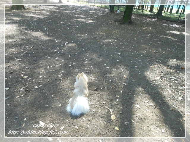 DSCN4217-008.jpg