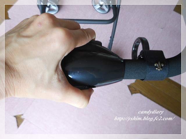 DSCN8439-010.jpg